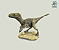 Santanaraptor placidus - Imagem 1