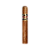 Quorum Robusto - unidade - Imagem 1