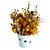 Vaso "Patinha" personalizado com flores naturais desidratadas - Imagem 1