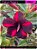 RD  Viuva Negra - Imagem 1