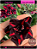 RD Lauren - Imagem 1