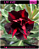 RD LM 440 - Imagem 1