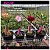 38- KIT 4 PLANTAS - Imagem 1