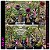 31- KIT 8 PLANTAS - Imagem 1
