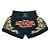 Short Muay Thai Estilo Tailandês Ockto  Training Preto e Dourado - Imagem 1