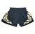 Short Muay Thai Estilo Tailandês Ockto  Training Preto e Dourado - Imagem 2