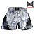 Short Muay Thai Estilo Retrô Ockto Invictus III - Imagem 1