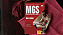 Apostila MGS MG 2025 - Nível Médio - Imagem 4