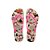 Chinelo Havaianas Slim Pets Bege Palha/Maravi - 39/40 - Imagem 5