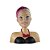 Boneca Barbie Styling Head Hair Pupee - Ref.1264 - Imagem 1