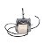 Motor CA Para Fritadeira Air Fry Philco 35W PFR15PI 220V - Imagem 3