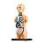 Brinquedo Conhecendo o Busto Humano Doctor Toyng Ref.48883 - Imagem 3