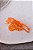 Piranha Cobra Laranja - Imagem 2