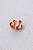 Piranha Mini Peixe Nemo - Imagem 1