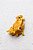 Piranha Cachorro Golden - Imagem 3