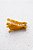 Piranha Cachorro Golden - Imagem 4