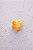 Piranha Micro Laço Amarelo - Imagem 3