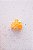 Piranha Micro Laço Amarelo - Imagem 5