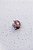 Piranha Mini Urso - Imagem 5