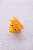 Piranha Pintinho Amarelo - Imagem 2