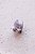 Piranha Mini Cachorro Bulldog Preto - Imagem 2