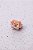 Piranha Mini Cachorro Golden - Imagem 1