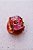 Piranha Donut Marrom - Imagem 5