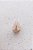 Piranha Mini Gatinho Off White - Imagem 6