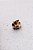 Piranha Mini Gatinho Bege - Imagem 5
