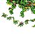 LEGO CUBIC DINO 577PÇS 25 EM 1 MULTIKIDS BR1615 - Imagem 4
