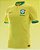 Camisa Seleção Brasileira Amarela | 22/23 | Nike | Masculina - Imagem 1