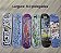 SKATE COMPLETO - KIT 2 - SHAPE 7,75" ATÉ 8,5" / RODAS 53mm - Imagem 2