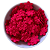 Flor Prensada - Pink - Imagem 1