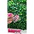 Chaton para Colagem Rosa Bebê 8mm - 20 unidades - Imagem 1