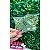 Cartela Termocolante Princesa Sininho (Tinkerbell) - Imagem 1