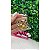 Aplique Mini Chaton com Strass Vermelho 20 unidades - Imagem 1