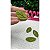 Aplique Folha de Tecido Verde 3cm - Unidade - Imagem 1
