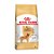 Ração Royal Canin Golden Retriever Adulto 12Kg - Imagem 1