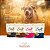 Ração Macia Dog Star Soft Sênior + 7 Anos - Imagem 9