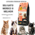 Ração CaneCat Fit Salmão Gato Castrado Premium Special 10.1k - Imagem 4