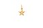 Pingente Charms Starfish - Imagem 1