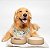 Comedouro Cães - Off-White (1 un.) - Imagem 2