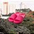 Chinelo Feminino Dagg Slide Nuvem Confortável - Rosa - Imagem 5