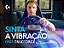 Kit Logitech G923 para PS5, PS4 e PC com True Force - Imagem 7