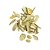 Boldo 100g - Imagem 2