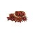 Anis Estrelado 100g - Granel - Imagem 4