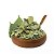Folhas de Amora 100g - Granel - Imagem 2