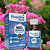 Xarope Expectorante Natural à base de Mel, Própolis Verde, Copaíba, Abacaxi, Romã, Eucalipto e Malva – 150ml - Imagem 1