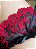 Persex Passion - Imagem 2