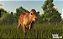 Farming Simulator 25 - Conjunto ano 1 - Xbox Series S/X - Midia Digital - Imagem 4